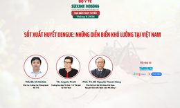 Sốt xuất huyết Dengue gia tăng với nhiều diễn biến khó lường tại Việt Nam