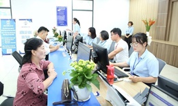 Địa phương tạm thời thực hiện quy định hiện hành về vị trí việc làm viên chức