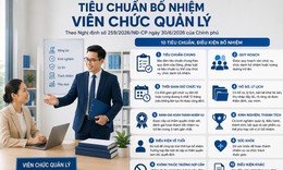 Điều kiện bổ nhiệm viên chức quản lý theo quy định mới là gì?