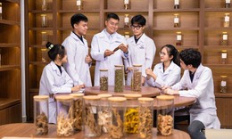 Triển khai kế hoạch phát triển y học cổ truyền theo kết luận của Tổng Bí thư, Chủ tịch nước Tô Lâm