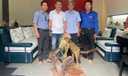 Bảo tàng ở Huế tiếp nhận tiêu bản động vật hoang dã quý hiếm