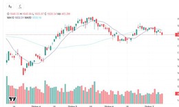 Xu hướng chứng khoán 13/7, quan sát diễn biến VN-Index