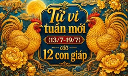 Tử vi tuần mới 12 con giáp 13/7 - 19/7: Mùi biến động, Thân gặp nhiều may mắn