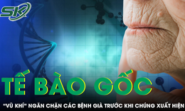 Tế bào gốc - “vũ khí” ngăn chặn các bệnh già trước khi chúng xuất hiện