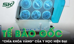 Tế bào gốc 'chìa khóa vàng' của y học hiện đại