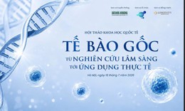 Đang Hội thảo quốc tế về tế bào gốc: Kết nối tri thức, thúc đẩy ứng dụng vào thực hành lâm sàng