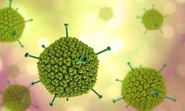Biểu hiện khi trẻ mắc Adenovirus: Cha mẹ cần nhận biết sớm để phòng biến chứng