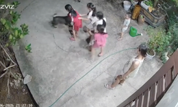 Hài hước khoảnh khắc ‘khối nghỉ hè’ trêu chó vui như Tết: Dân mạng cười ngất ‘xin vé về tuổi thơ’
