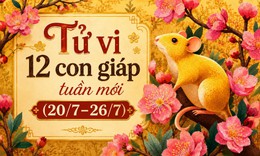 Tử vi tuần mới 12 con giáp 20/7 - 26/7: Sửu thăng trầm, Hợi tài chính tích cực