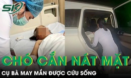 Xuyên đêm chở vaccine gần 100km cứu cụ bà 79 tuổi bị chó cắn nát mặt