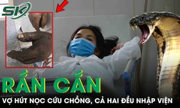 Hút nọc độc cứu chồng bị rắn cắn, cả hai cùng nhập viện vì sai lầm nhiều người mắc