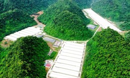 Bộ Nội vụ đề nghị khẩn trương làm rõ vụ tai nạn lao động làm 5 người tử vong tại Thanh Hóa