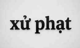 Cục trưởng 3 Cục thuộc Bộ Y tế được phạt vi phạm thể thao đến 50 triệu đồng