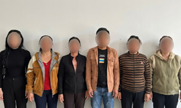 Bắt 6 người đánh bạc bằng hình thức 'binh Ấn Độ' tại chòi hoang