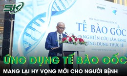 Ứng dụng tế bào gốc mang lại hy vọng mới cho người bệnh