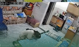 Ông nội qua đời, các cháu đến nhà vẫn quen miệng: ‘Thưa nội, con mới tới...’, ai xem cũng nghẹn ngào