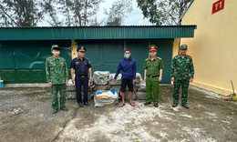Phát hiện, tạm giữ 800kg nầm lợn đông lạnh không rõ nguồn gốc