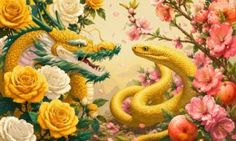 Tử vi 12 con giáp hôm nay 23/7: Tý bình ổn, Tị tâm trạng thoải mái