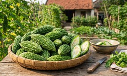 3 lợi ích nổi bật của mướp đắng với người bệnh đái tháo đường