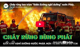 Cháy rừng bao trùm 'thiên đường nghỉ dưỡng' nước Pháp, hơn 10.000 người sơ tán khẩn