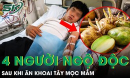 4 người ngộ độc, một phụ nữ tử vong sau khi ăn canh khoai tây mọc mầm 
