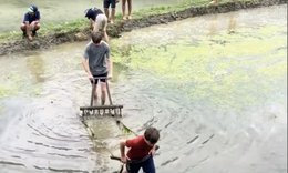Hài hước cảnh khách Tây lội ruộng, ‘kéo cày thay trâu’ trên ruộng bậc thang ở Lào Cai, dân mạng thích thú: ‘Du lịch thế này mới đáng nhớ chứ!’