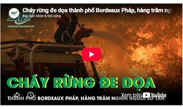 Cháy rừng đe dọa thành phố Bordeaux Pháp, hàng trăm nghìn người sơ tán khẩn cấp