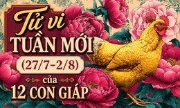 Tử vi tuần mới 12 con giáp 27/7 - 2/8: Dậu thăng trầm, Tý công việc nổi bật