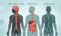 Ảnh hưởng của ô nhiễm thủy ngân với sức khỏe con người