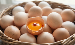 Lòng trứng gà có đốm máu nên ăn không?
