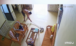 Đang nằm nghe tiếng ‘bịch’, người phụ nữ hoảng hồn thấy rắn hổ trâu rơi từ điều hòa xuống phòng ngủ
