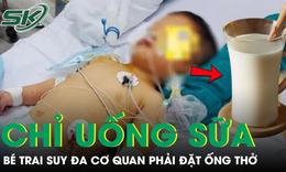 Chỉ uống sữa và gần như không ăn, bé trai 4 tuổi suy đa cơ quan phải đặt ống thở