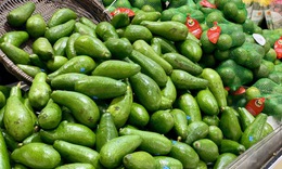 Tiểu thương bật mí cách chọn bơ chín đều, dẻo mịn, không sợ đắng