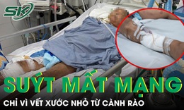 Vết xước nhỏ từ cành rào khiến người đàn ông 65 tuổi nguy kịch vì uốn ván 