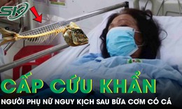 Người phụ nữ nguy kịch phải cấp cứu khẩn sau bữa cơm có cá