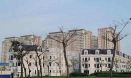 Phát triển nhà ở cho thuê: Chính sách mới của Hà Nội mang lại lợi ích gì cho người dân?