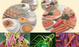 Bộ Y tế yêu cầu khẩn trương điều tra vụ gần 40 học sinh nghi ngộ độc thực phẩm tại Đắk Lắk