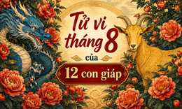 Tử vi 12 con giáp tháng 8/2026: Tị trầm lắng, Hợi đủ đầy