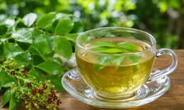 Công dụng của lá đàn hương với sức khỏe