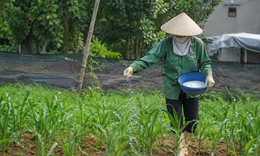 5 nguyên tắc an toàn khi tiếp xúc hoá chất mỗi ngày không được bỏ qua