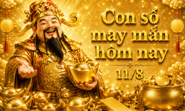 Con số may mắn hôm nay 11/8 theo năm sinh 12 con giáp