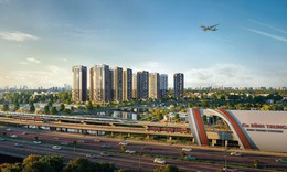 Công ty Cổ phần Bluemarq Development vi phạm chứng khoán