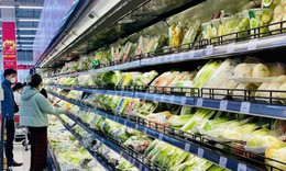 Rau quả Việt Nam 'chinh phục' kỉ lục mới, trong một tháng vượt 1 tỷ USD