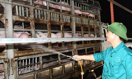 Hà Nội quyết tâm kiểm soát dịch bệnh từ động vật, gia cầm, lây sang người theo tiếp cận 'Một sức khỏe'