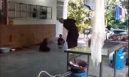 Thông tin mới nhất về vụ cháu bé bị người mặc áo nâu đánh trong khuôn viên chùa