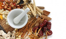 Tập trung thực hiện quyết liệt các chỉ đạo của Đảng và Chính phủ về phát triển lĩnh vực y, dược cổ truyền