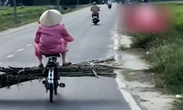 Hú hồn cảnh người phụ nữ ung dung chở mía chắn ngang đường, mặc cho ô tô bấm còi