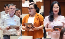 ĐBQH 'mổ xẻ' cơ chế chia sẻ hạ tầng viễn thông