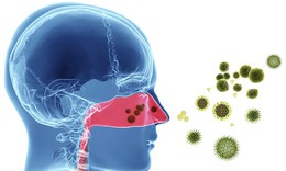 Bệnh hô hấp ở trẻ em mùa tựu trường, cha mẹ cần lưu ý gì?