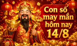 Con số may mắn hôm nay 14/8 theo năm sinh 12 con giáp